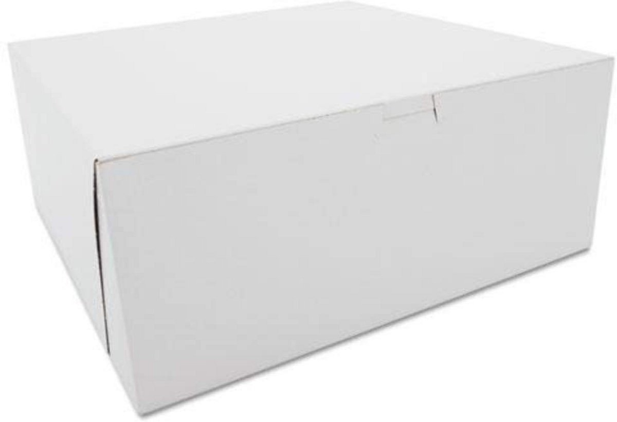 Professionele Taartdozen Wit Kraft Karton Zonder Venster - Set van 100