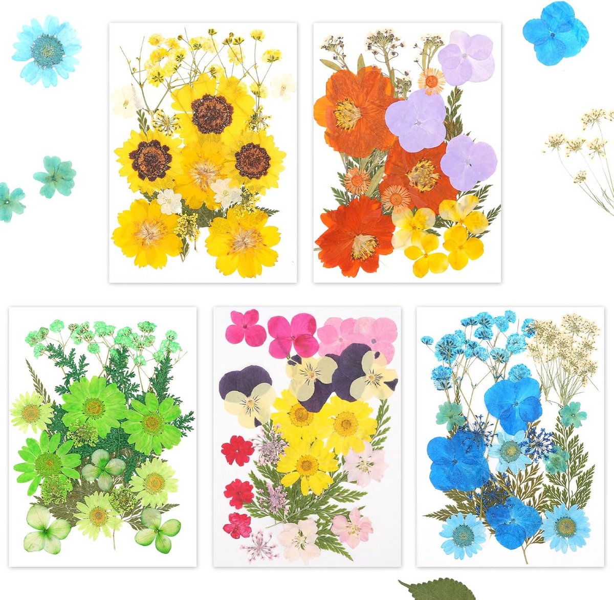 Gedroogde Persbloemen Set 500 Stuks - Voor Hars, Nail Art & Sieraden Maken