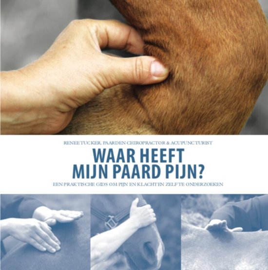 Waar heeft mijn paard pijn? - cover