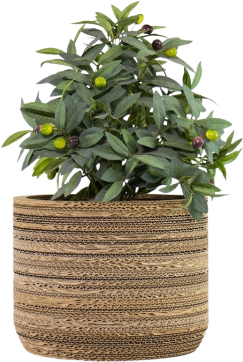 Kartonnen plantenpot Ficus 32 cm - Zes verschillende maten - Kartent