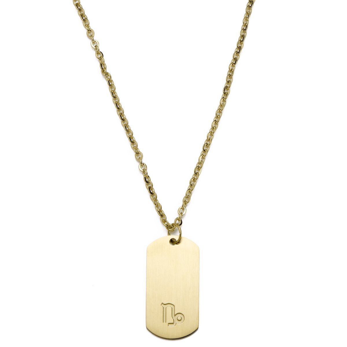 Goudkleurige Stalen Ketting met Sterrenbeeld Steenbok