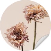 Muursticker Chrysanten