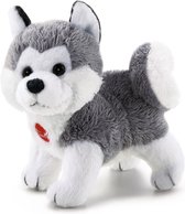 Trudi - Sweet Collection Hond Husky Marcus (XXS-51025) - Pluche knuffel - Ca. 8 cm (Maat XXS) - Geschikt voor jongens en meisjes - Grijs/Wit