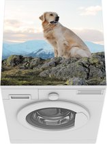 Wasmachine beschermer mat - Een golden retriever zit op de rotsen - Breedte 60 cm x hoogte 60 cm