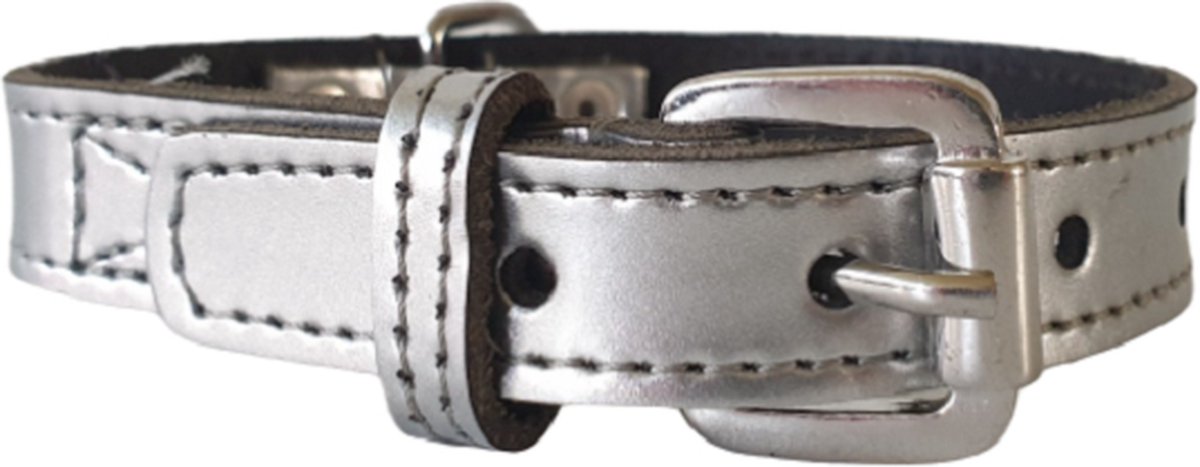 ALOKÉ Hondenhalsband / Halsband (01588LA) - Lak Leder - Silver - S - Nekomvang: 24,5 - 30 cm (GELIEVE ALVORENS BESTELLEN OPMETEN)