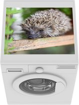 Wasmachine beschermer mat - Egel - Tafel - Planten - Breedte 55 cm x hoogte 45 cm