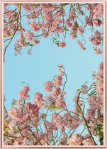 Poster Met Metaal Rose Lijst - Tabebuia Bloem Poster