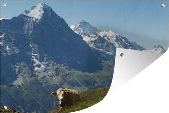 Tuinposter - Tuindoek - Tuinposters buiten - Zwitserse koe voor de Eiger in het Jungfrau-gebied - 120x80 cm - Tuin