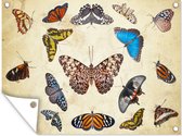 Tuinschilderij Botanische print vlinders - 80x60 cm - Tuinposter - Tuindoek - Buitenposter