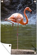 Muurdecoratie Een flamingo staat in het water - 120x180 cm - Tuinposter - Tuindoek - Buitenposter