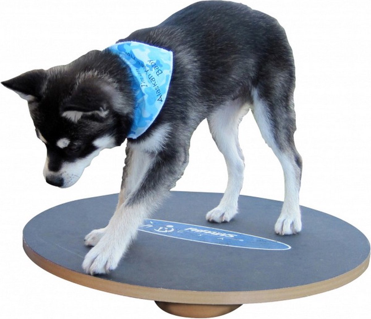 Indoorboard Curved Planche D'équilibre + Tapis + Rouleau De Bois Liege Expressionist