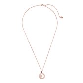 Ketting moon stainless steel - Goud