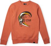 O'Neill Sweatshirts Boys CIRCLE SURFER MULTI CREW Living Coral 128 - Living Coral 85% Cotton, 15% Recycled Polyester