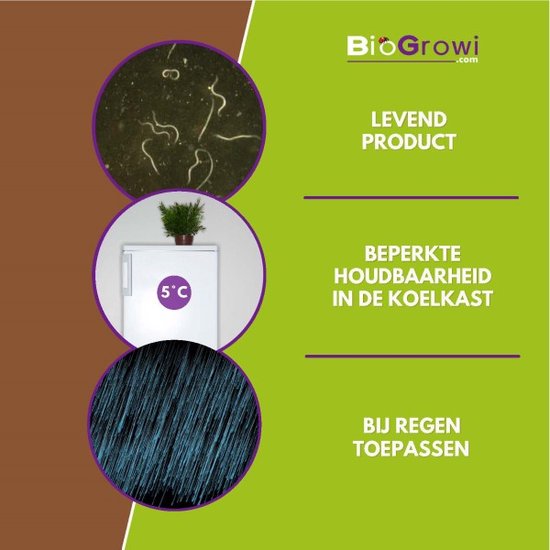 Drie cirkels met afbeeldingen: nematoden in de grond, een koelkast met "5°C" erop, en regen. Met de tekst "LEVEND PRODUCT", "BEPERKTE HOUDBAARHEID IN DE KOELKAST", "BIJ REGEN TOEPASSEN".
