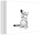 Canvas Schilderij Kitten - Poot - Wit - Meisjes - Kinderen - Jongens - Kind - 60x40 cm - Wanddecoratie