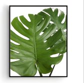 Schilderij  2 Botanische tropische groene bladeren / Planten / Bladeren / 50x40cm