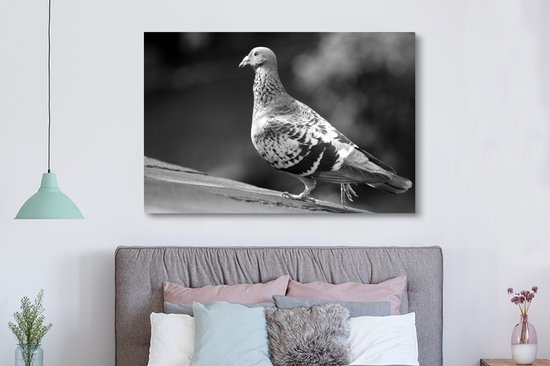 Tableau sur toile 150x100 cm - Décoration murale Pigeon voyageur sur un toit - noir et blanc - Décoration murale salon - Décoration chambre - Accessoires chambre - Peintures