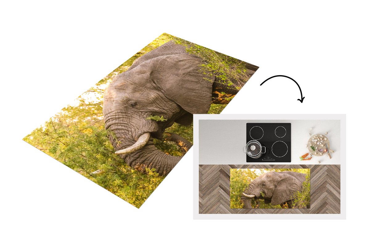KitchenYeah Keukenloper - Loper keuken - Olifant - Safari - Afrikaans - 120x60 cm - Keukenloper vinyl Multicolor