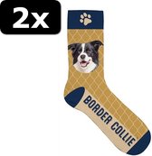 2x - SOKKEN BORDER COLLIE 42-45