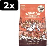 2x LILY DOG PUPPY CHICKEN/SALMON 2,5KG