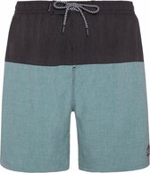 Protest Prtboydin beachshort heren - maat xs