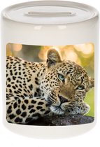 Dieren luipaard foto spaarpot 9 cm jongens en meisjes - Cadeau spaarpotten jaguars/ luipaarden liefhebber