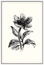 Pioenroos zwart-wit (Peony) - Foto op Akoestisch paneel - 60 x 90 cm
