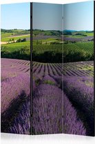 Vouwscherm - Lavender fields [Room Dividers]