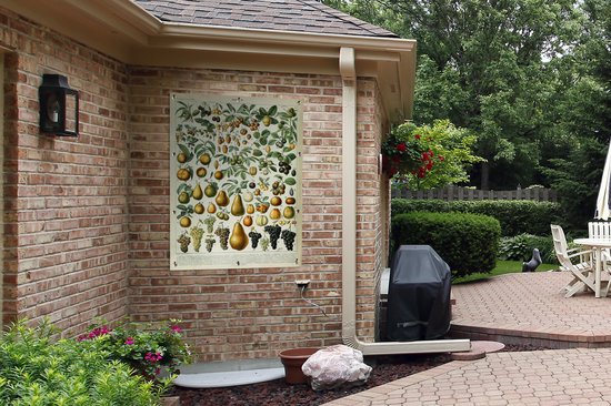 Affiche de jardin Fruit - Poire - Raisin - 90x120 cm