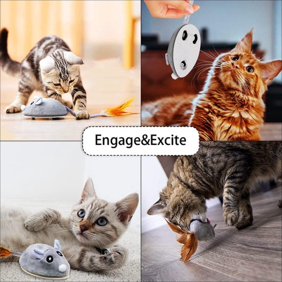 Interactief speelgoed voor jouw kat op