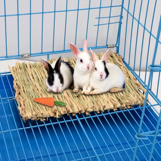 Hangmat van gras voor Knaagdieren en Konijnen, Grasmat met klimplezier