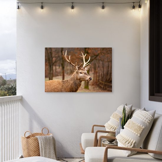 Tuinposter op canvas van een hertenkop in een herfstbos, binnen op een witte muur van een balkon, met lounge stoelen en kussens.