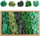 200g Kunstmos om te Decoreren Mosdecoratie, Nylon Donkergroen Kunstmos