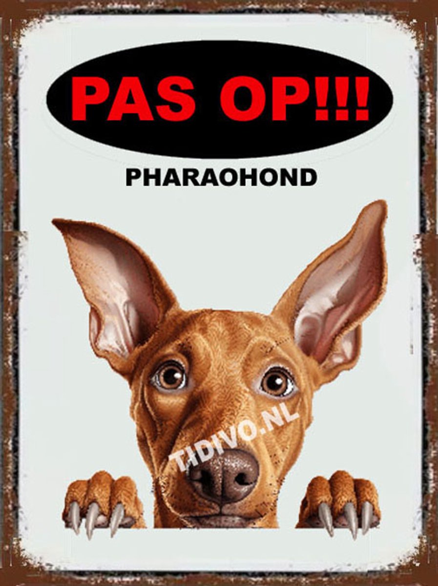 Pharaohond 17