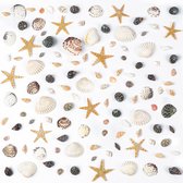 Zeester en Schelpen Canvas | Rustgevende Strandtafereel Wanddecoratie | Poster Store Nederland