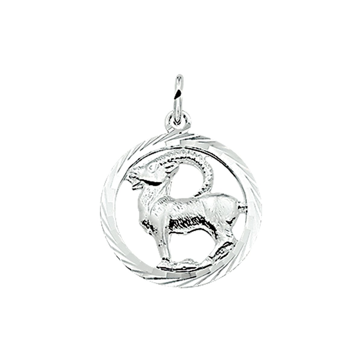 Glams hanger sterrenbeeld steenbok gediamanteerd - Zilver