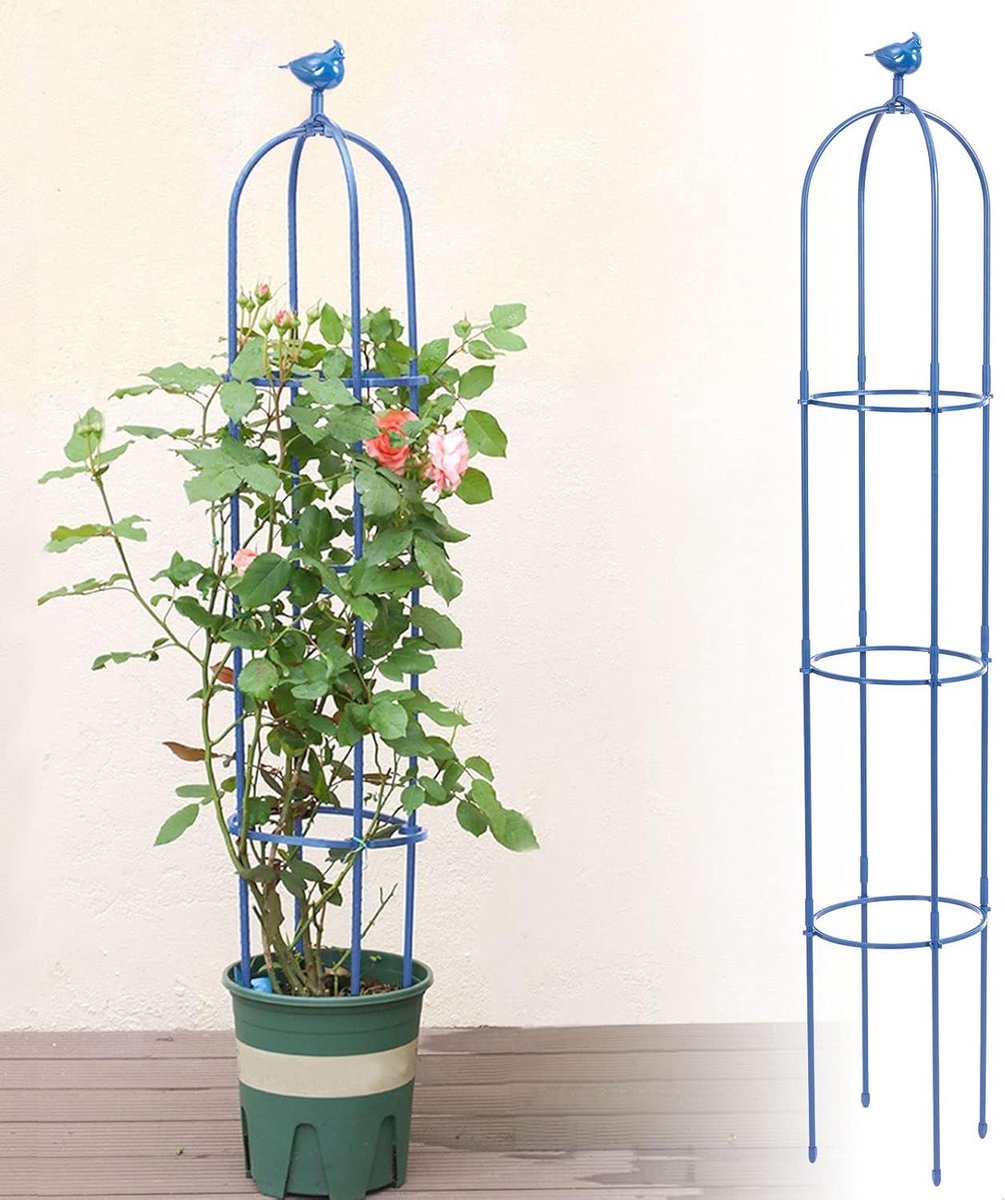 ByShane - Tuinlatwerk voor Klimplanten | Tuin Obelisk | Hekjes | Roestvrij Metalen Klimsteun | Binnen Buiten Bloemen Groentevruchten | Wijnstokken Ondersteuning | 6 Voet Hoog (Blauw)