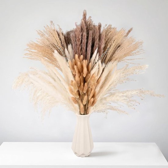 gedroogde hazenstaart lagurus | Natuurlijk Bloemen gedroogde hazenstaart lagurus | Natuurlijk Bloemen