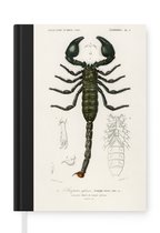 Notitieboek - Schrijfboek - Schorpioen - Vintage - Insecten - Notitieboekje klein - A5 formaat - Schrijfblok