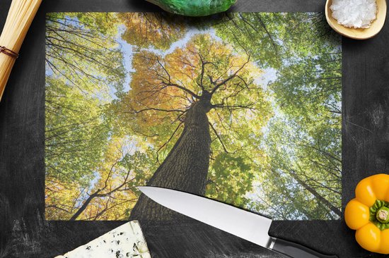 Planche à découper en Verres - 39x28 - Arbre - Nature - Forêt - Planches à découper en Glas
