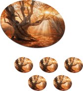 Onderzetters voor glazen - Rond - Boom - Natuur - Herfst - 10x10 cm - Glasonderzetters - 6 stuks