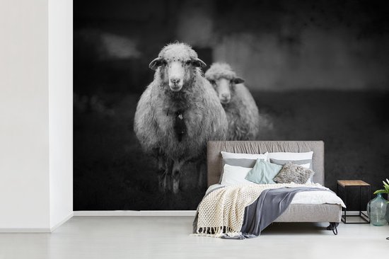 Papier peint photo peint vinyle - Mouton avec cloche largeur 600 cm x hauteur 400 cm - Tirage photo sur papier peint (disponible en 7 tailles)