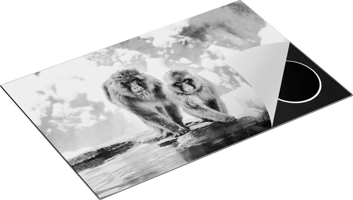 Chefcare Inductie Beschermer Twee Aapjes in de Sneeuw op Rotsen - Zwart Wit - 80x50 cm - Afdekplaat Inductie - Kookplaat Beschermer - Inductie Mat