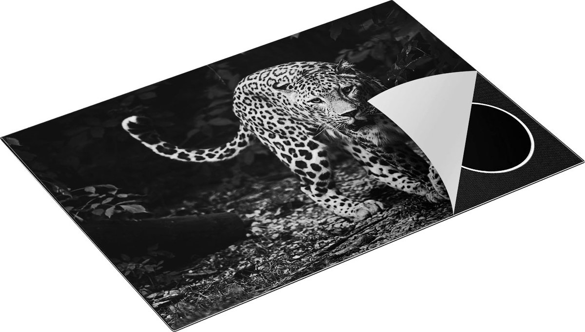 Chefcare Inductie Beschermer Luipaard in het Bos - Zwart Wit - 76x51,5 cm - Afdekplaat Inductie - Kookplaat Beschermer - Inductie Mat