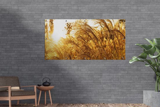 Affiche de jardin - Pampa - Herbe de la pampa - Herbe - Plante - Or - 160x80 cm - Posters de jardin - Jardin - Décoration murale - Décoration de jardin - Toile de jardin - Affiche extérieure