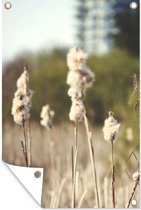 Tuinposter - Katoen - Plant - Gras - Natuur - Bruin - 40x60 cm - Tuin decoratie - Tuin - Muurdecoratie - Wanddecoratie - Tuindoek - Buitenposter