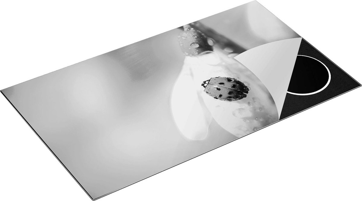 Chefcare Inductie Beschermer Lieveheersbeestje op een Sneeuwklokje Bloem - Zwart Wit - 90x52 cm - Afdekplaat Inductie - Kookplaat Beschermer - Inductie Mat