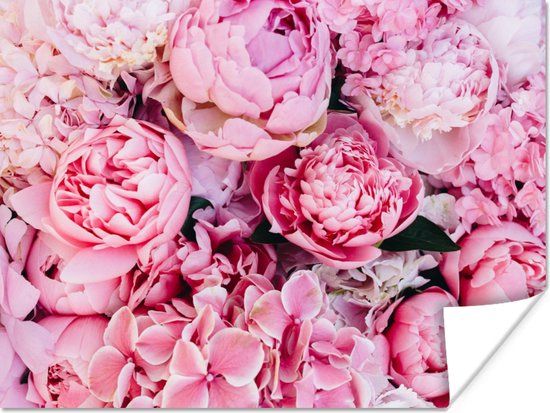 Affiche Fleurs - Rose - Roses - 40x30 cm