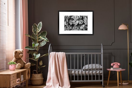 Cadre photo avec affiche - Art - Corail - Ernst Haeckel - Maîtres anciens - Nature - 90x60 cm - Cadre pour affiche