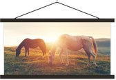 Porte-affiche avec affiche - Affiche scolaire - Paarden - Soleil - Animaux - 60x30 cm - Lattes noires